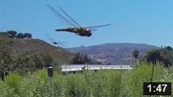 July 29, 2013 The Bugs Are Back In Town: Dragonflies Swarm Malibu Lagoon.  Watch their spectacular flight.  Dragonflies eat mosquitos, bees, flies, wasps and ants. They are an important source of food for birds, frogs, fish and other dragon flies.   NOTE: Click on image to see video.