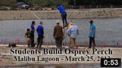 March 25, 2013 Students Build Osprey Perch at Malibu Lagoon.  The Student Conservation Association's volunteers erect the Osprey Perch at Malibu Lagoon.  NOTE: Click on image to see video.
