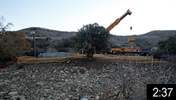 December 12, 2015 - Bridge over Arroyo Sequit Creek A 90 ft. X 16 ft. bridge was installed by Oak Tree Construction over Arroyo Sequit Creek in Leo Carillo State Park. The bridge replaces a stream crossing that prevented southern steelhead trout from reaching their spawning habitat upstream. Watch the 2 minute 37 second time-lapse video of the bridge installation. NOTE: Click on image to see video.